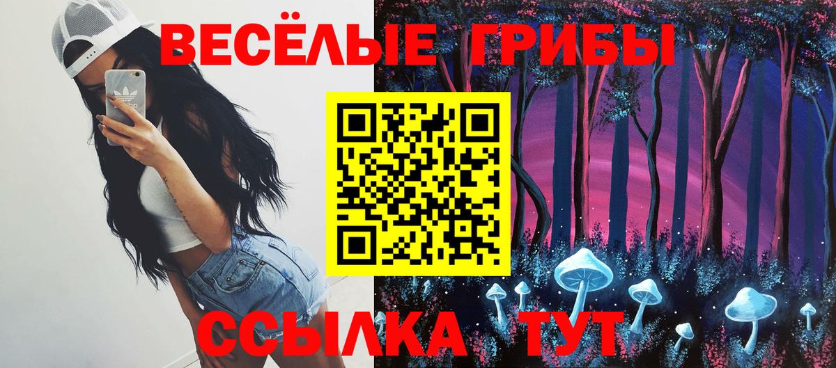 Псилоцибиновые грибы мухоморы Усть-Джегута