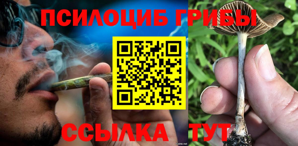 Галлюциногенные грибы MAGIC MUSHROOMS  Вход с VPN  Усть-Джегута 